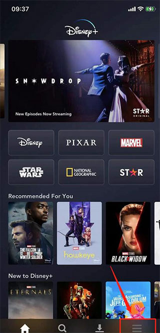 Disney+