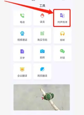 亲爱的翻译官app