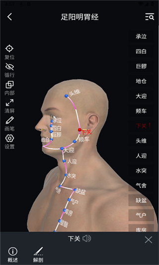 中医经络穴位典籍