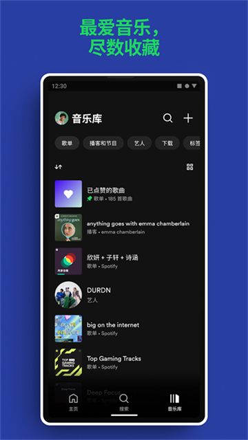 Spotify安卓版截图1