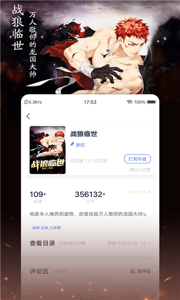 小说家截图5