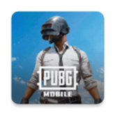 PUBG国际服手游