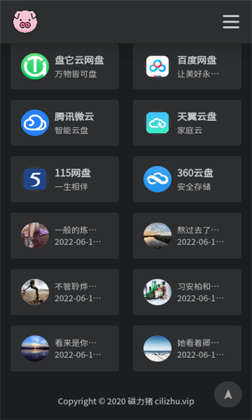 bt磁力猪搜索引擎截图2