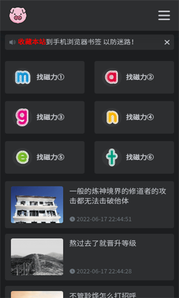 bt磁力猪搜索引擎截图3