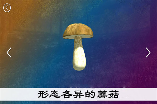 真實采集蘑菇模擬器截圖2