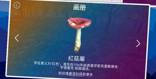 真實采集蘑菇模擬器