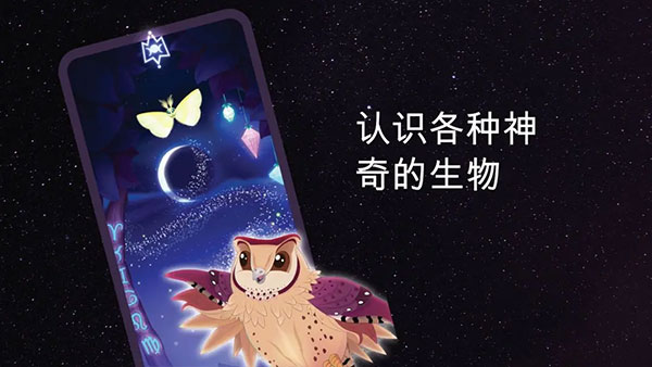 彩翼之星夜截圖2