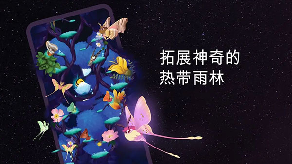 彩翼之星夜截圖4