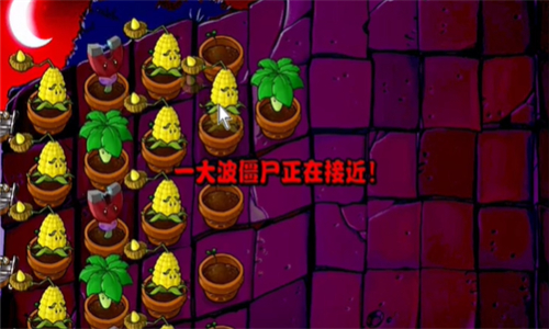 pvz活死人之園截圖6