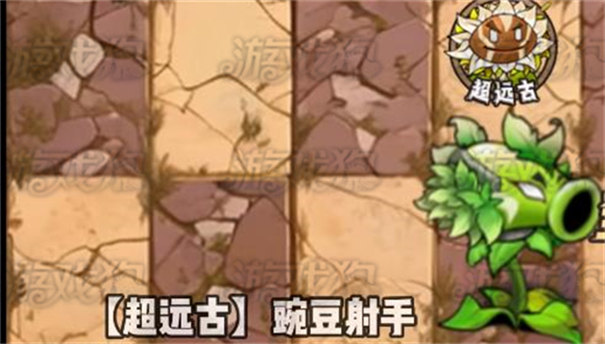 植物大戰(zhàn)僵尸神奇植物版