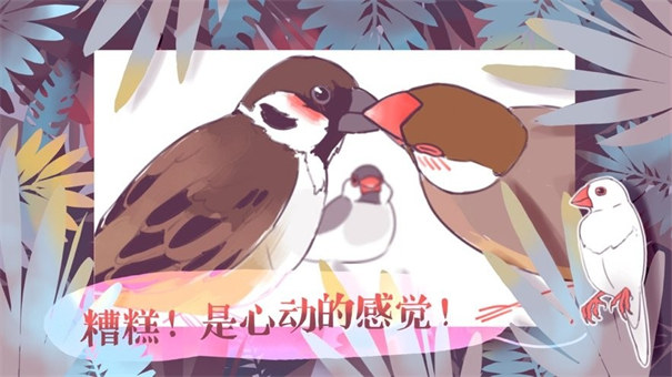 咕啾文鸟恋爱物语截图4