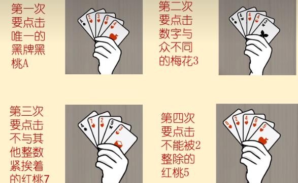 兔子先生的魔術(shù)秀