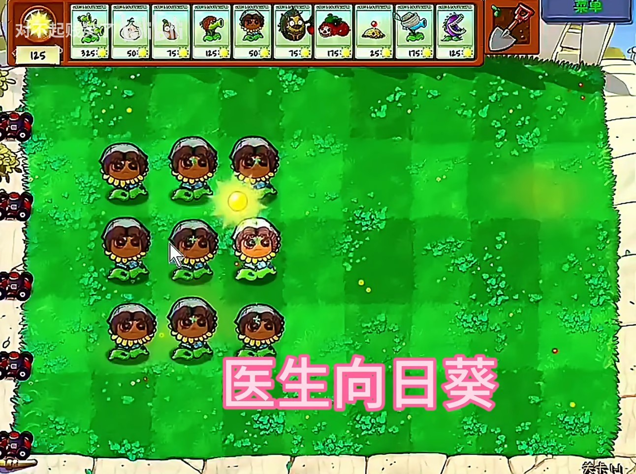 植物大戰僵尸第五人格版