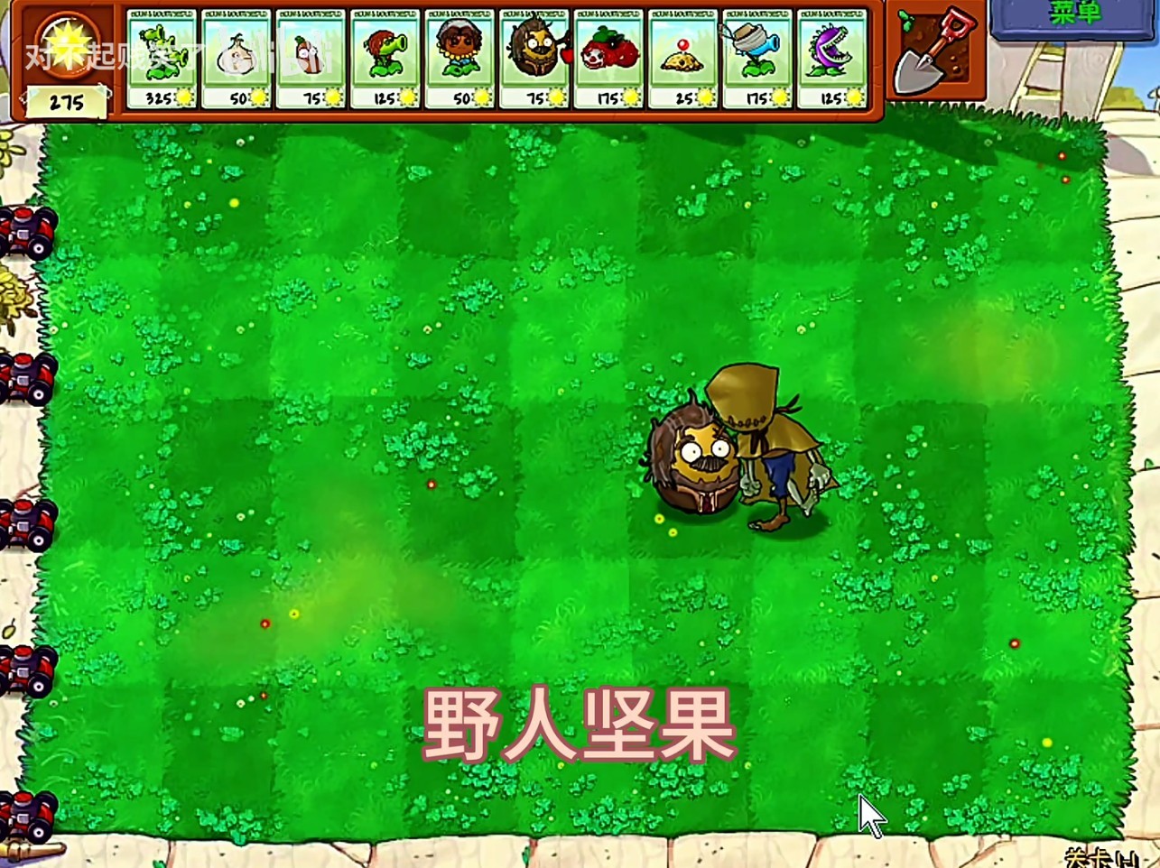 植物大戰僵尸第五人格版
