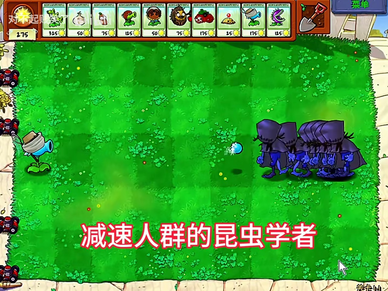 植物大戰僵尸第五人格版