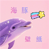 海豚壁紙
