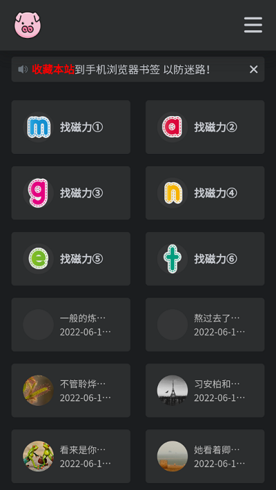bt磁力豬