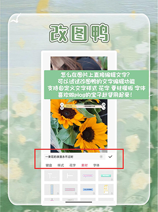 改圖鴨
