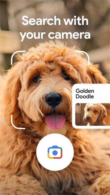 google搜索截圖4