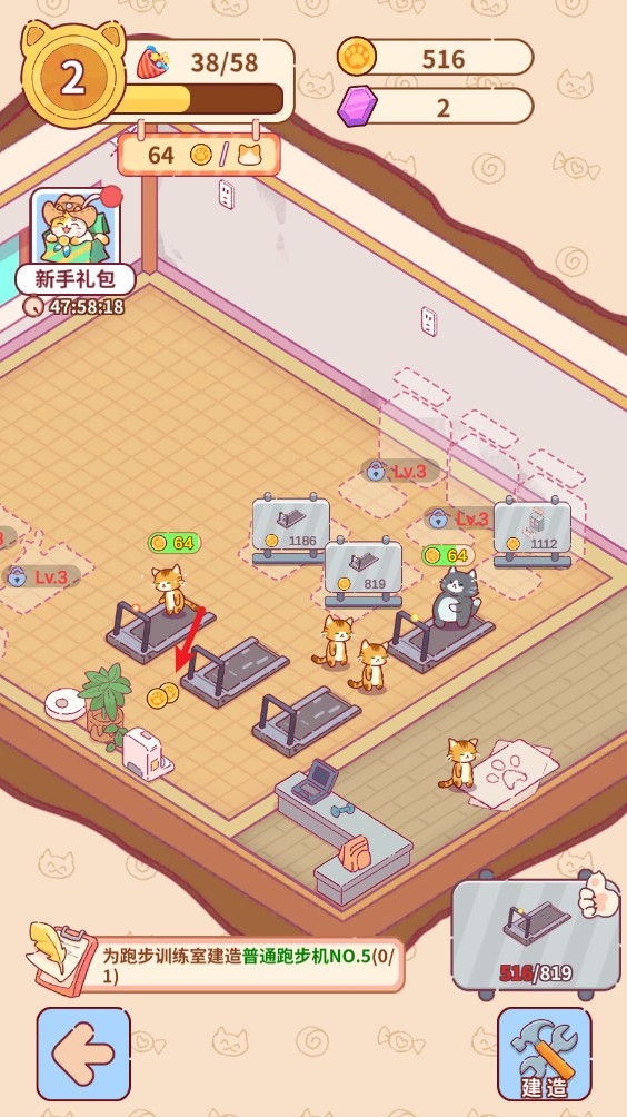 貓咪健身房