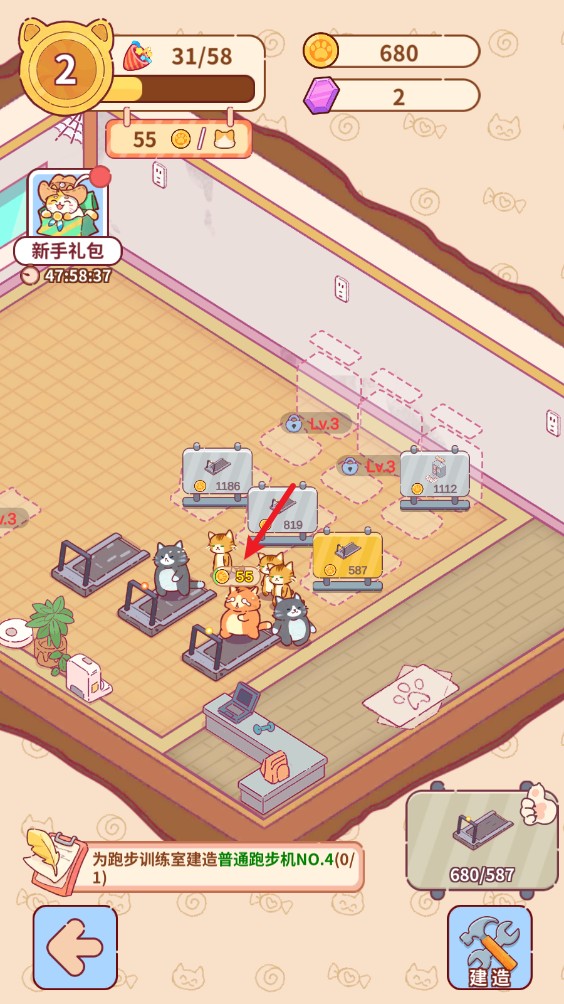 貓咪健身房