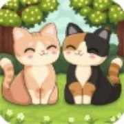 科媞奇聯機版