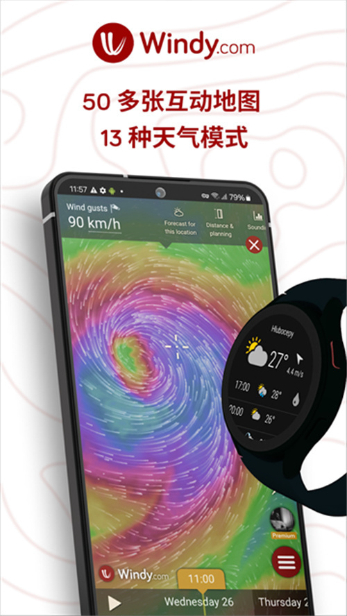 windy氣象預報截圖2