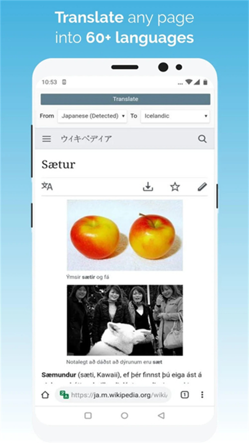 kiwi瀏覽器助手截圖1