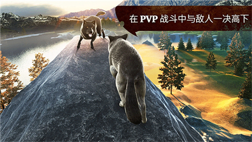 狼族手游截圖2