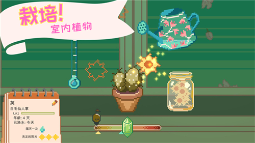 windowgarden游戲截圖1