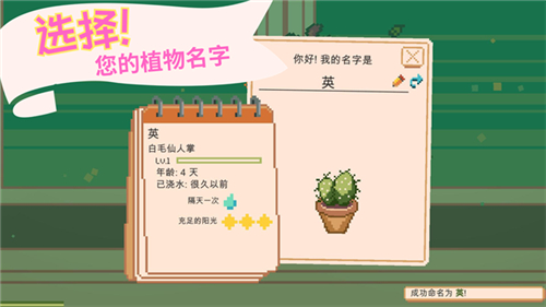 windowgarden游戲截圖2
