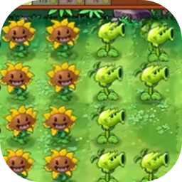 植物大戰(zhàn)僵尸荒野版