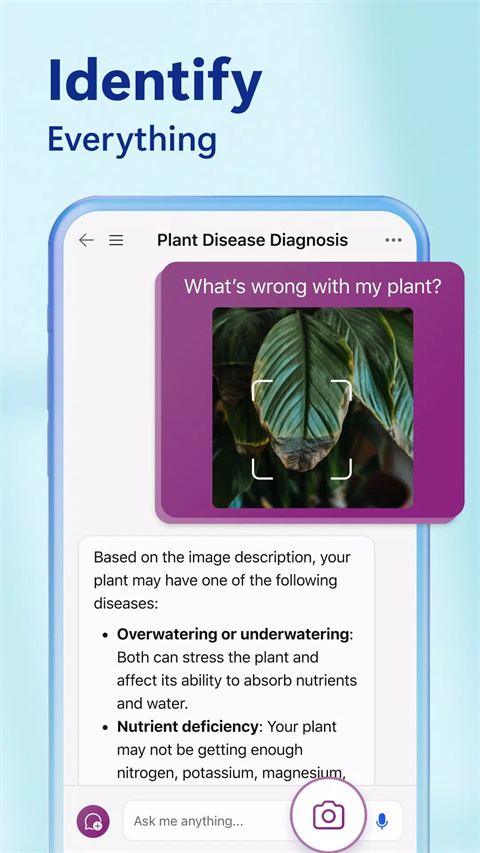 必應國際版搜索引擎截圖1