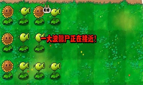 植物大戰僵尸繁瑣版截圖5