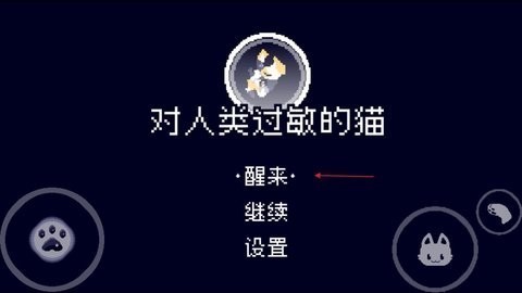 對人類過敏的貓
