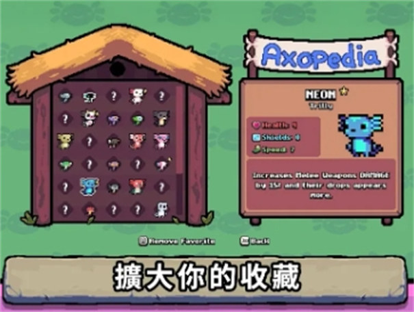 AK蠑螈截圖3