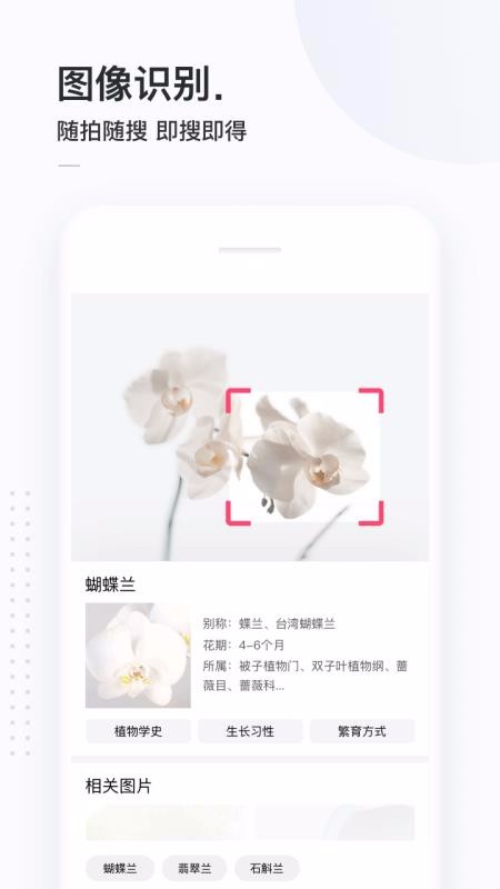 簡單搜索舊版本截圖1