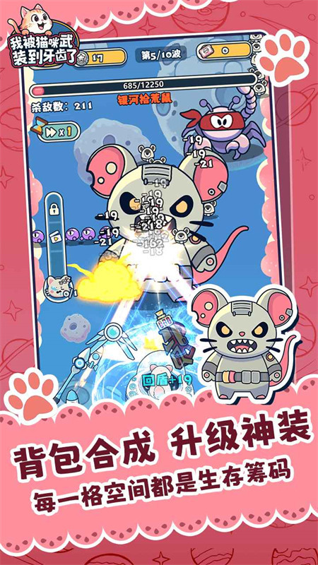我被猫咪武装到牙齿了
