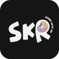 skr